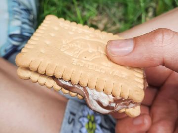 MO Koprivna2024 6 30 3