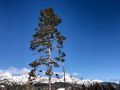 DSCN3006 3