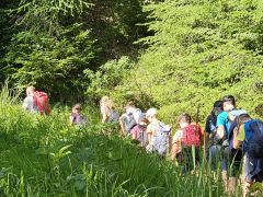 MO Podljubelj 2025 6 29 01