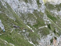 MO Podljubelj 2025 7 1 22