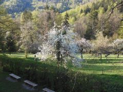 DSCN1050