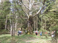 DSCN1140
