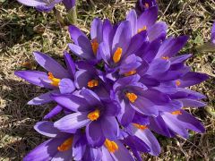 viber slika 2026 04 06 14 28 19 238