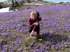 viber slika 2026 04 06 14 28 51 463