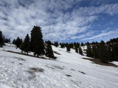 viber slika 2026 04 06 14 29 07 849