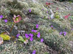DSCN0085 4