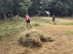 IMG 20260720 102057
