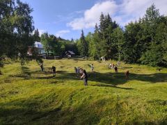IMG 20260720 182208