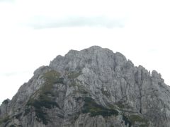 DSCN8742 800kb