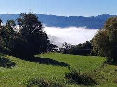 DSCN8774 2 800kb
