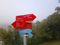 DSCN8783 7 800kb